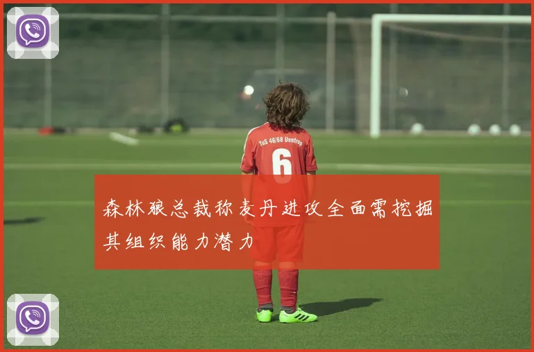 森林狼总裁称麦丹进攻全面需挖掘其组织能力潜力