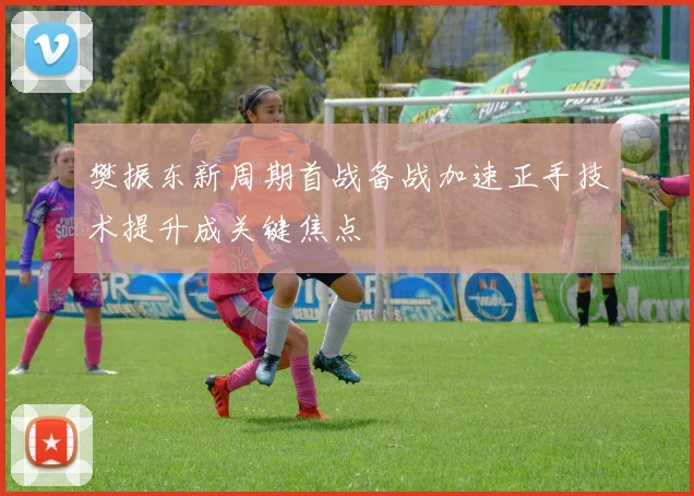 樊振东新周期首战备战加速正手技术提升成关键焦点