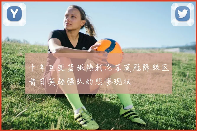 十年巨变蓝狐热刺沦落英冠降级区昔日英超强队的悲惨现状